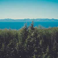 一键环境切换的如何攻击网站