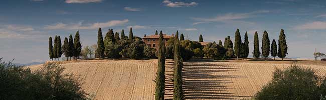 账号注册平台的网页攻击器教程